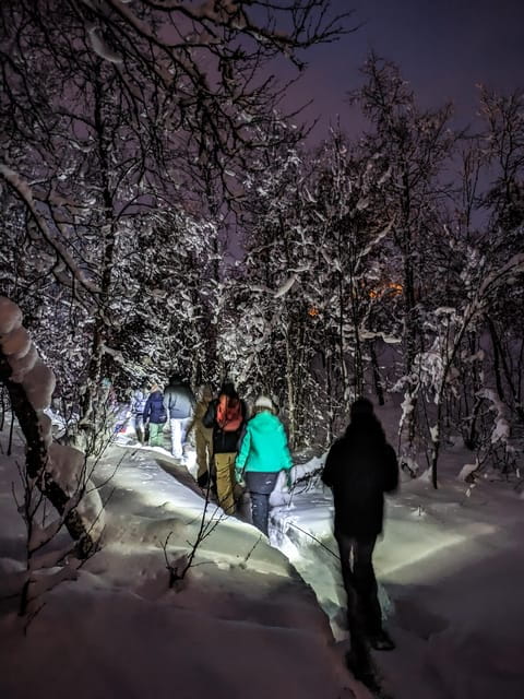 Geilo: Evening family tour with sledge, campfire and fun! - Key Points / Takeaways