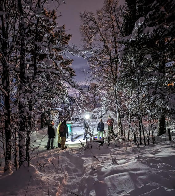 Geilo: Evening family tour with sledge, campfire and fun! - An Authentic Norwegian Winter Evening in Slaatta