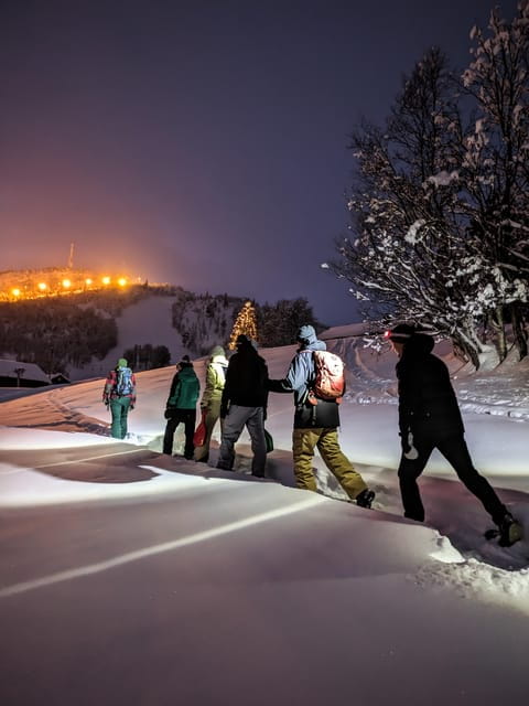 Geilo: Evening family tour with sledge, campfire and fun! - Itinerary Breakdown and Practical Tips