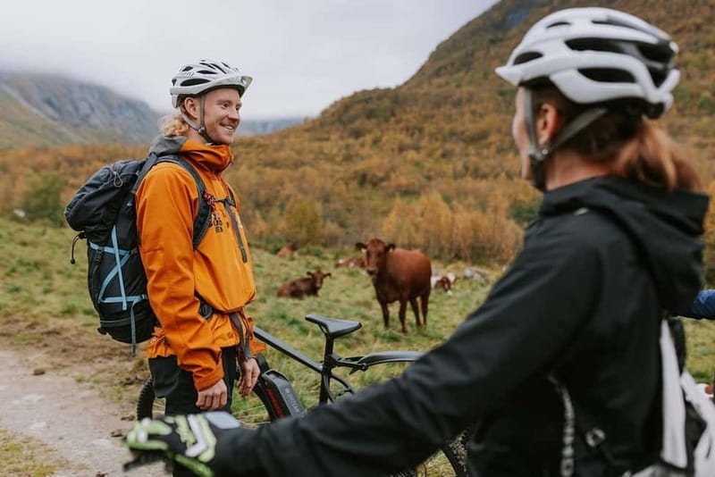 Geiranger: E-Bike and Hike to Haugsetsætra with Local Lunch - The Sum Up: Who Should Book This?