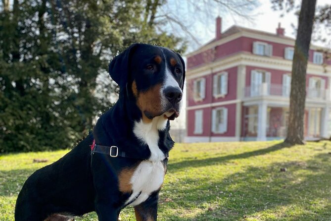 GENEVA Complete Tour. Hotel Pick-Up, GENEVA Internat. & Old City - Transportation and Pickup