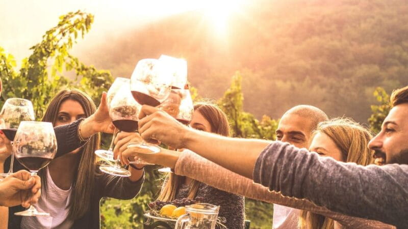 Geneva: Countryside and Wine tasting by E-Bike - Who Will Love This Tour?