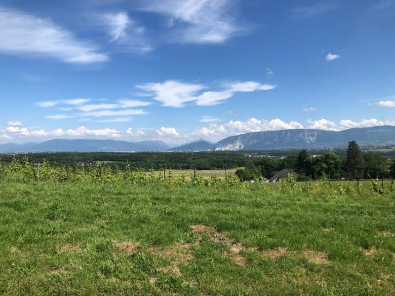 Geneva: Countryside and Wine tasting by E-Bike - Price, Logistics, and Practical Tips