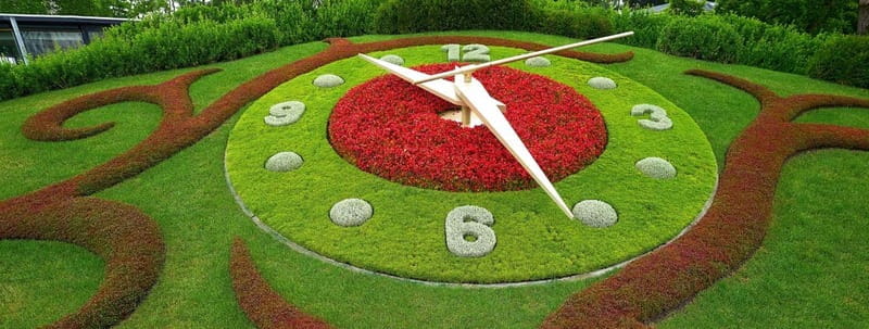 Geneva Walking Tour Old Town Lake and Fountain - Key Points / Takeaways