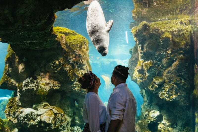 Genoa: Aquarium of Genoa Entry Ticket - Who Will Love This Experience?