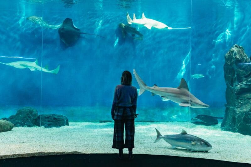 Genoa: Aquarium of Genoa with Lunch - Entering the Aquarium of Genoa