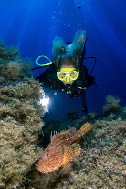 Genoa: first underwater dive - What’s Included and What to Budget For