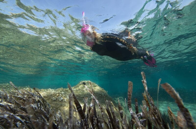 Genoa: snorkeling a stone's throw from downtown - Price and What You Get: Is It Worth It?