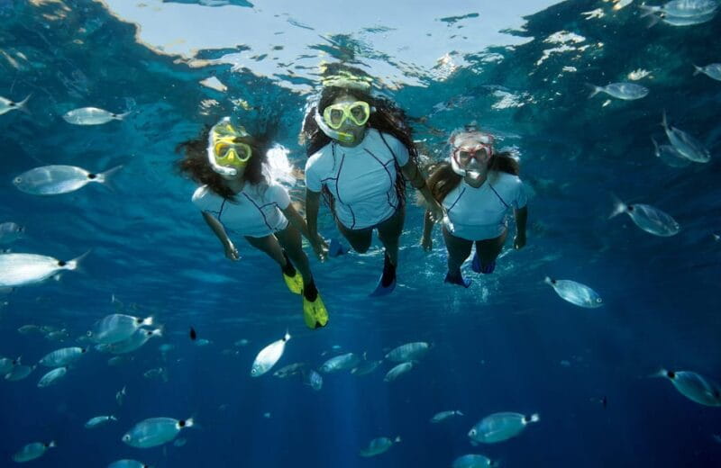 Genoa: Snorkeling tour along the Genoa coastline - Amenities and Comfort