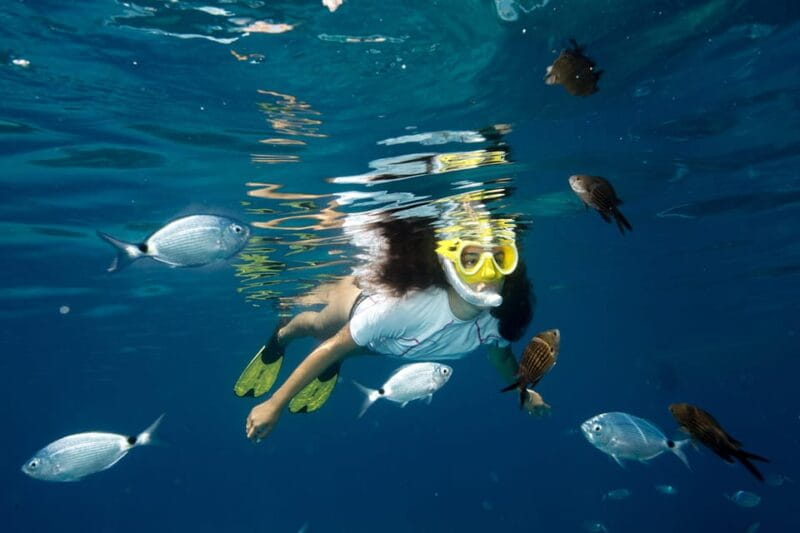 Genoa: Snorkeling tour along the Genoa coastline - Value for Money