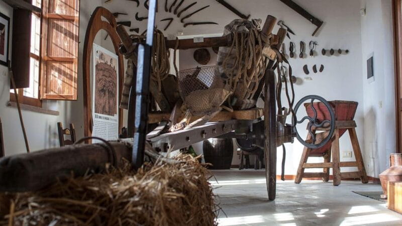 Genoni: discover the Giara Park - FAQ