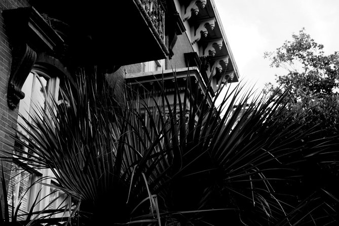 Genteel and Bards Savannah Dark History and Ghost Encounter Walking Tour - Practical Information