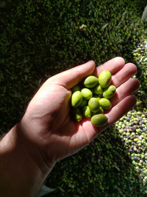 Genuine Cooking Class with a locals from generations - Key Points / Takeaways