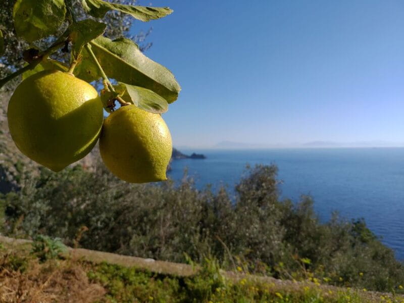 Genuine Cooking Class with a locals from generations - Practical Details: What You Need to Know