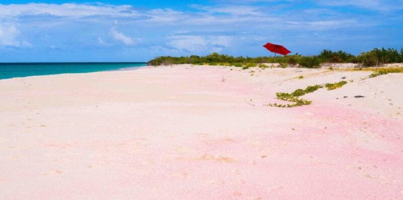 Georgioupolis Area: Full-Day Bus Trip to Elafonisi Island - The Journey Begins: Convenient Pickup & Scenic Drive