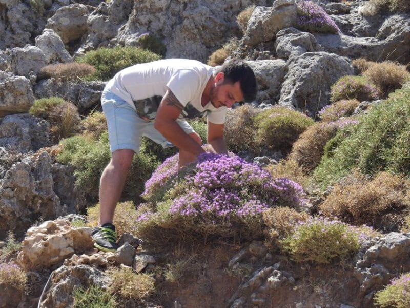 Georgioupolis Full-Day Land Rover Safari Experience - Exploring Crete’s Interior on a Land Rover