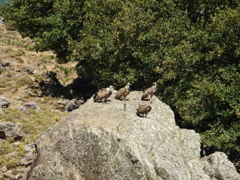 Georgioupolis Full-Day Land Rover Safari Experience - The Historic Castle and Secluded Beach