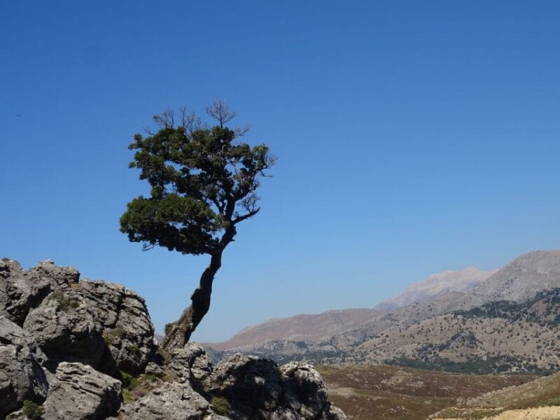 Georgioupolis Full-Day Land Rover Safari Experience - FAQ