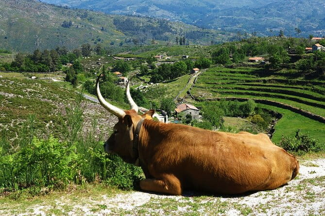 Gerês Private Tour (All Inclusive) - Key Points / Takeaways