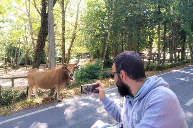 Gerês Private Tour (All Inclusive) - What’s Included and What to Consider