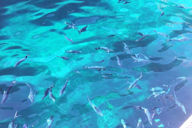 Getaway to the Calanques of Piana de Cargèse in a small group - Final Thoughts