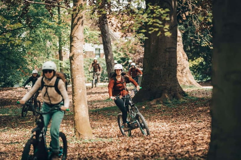 Ghent: Green Snake E-Step Tour with Local Guide - Key Points / Takeaways