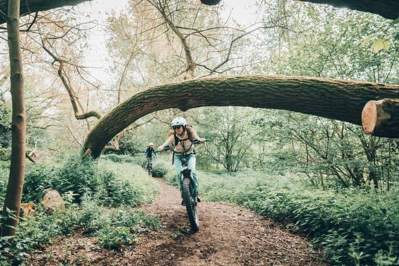 Ghent: Green Snake E-Step Tour with Local Guide - What’s Included and What’s Not