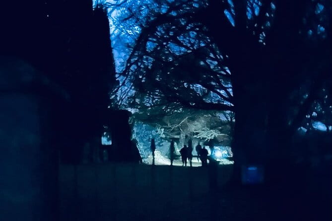 Ghost, Ghouls and Graveyards Private Highland Tour - What to Expect: Tour Logistics and Experience Quality