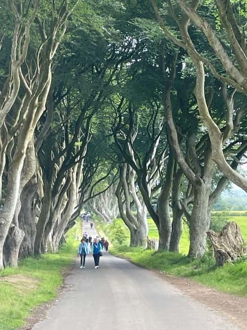Giants Causeway 4 Hour Private Tour - The Journey Begins: From Belfast to the North Coast