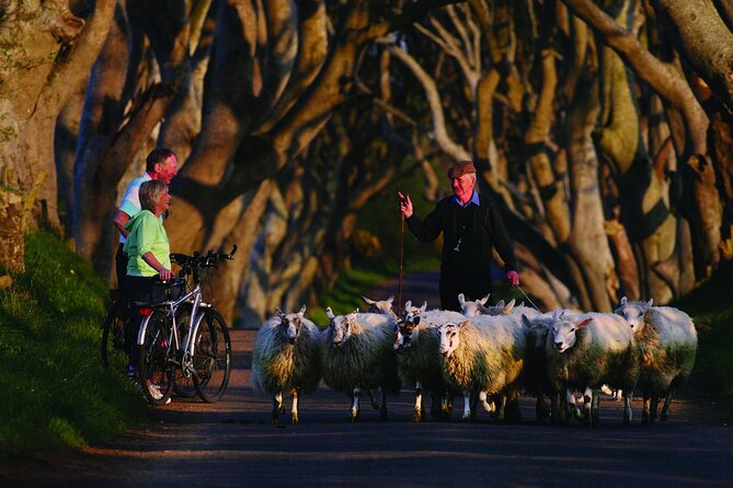 Giants Causeway With the Titanic Exhibition and the Best of Northern Ireland - Recommendations