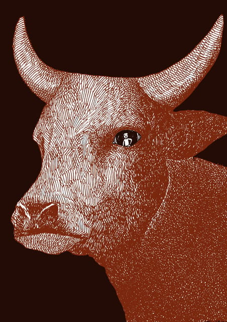 Giara Horse Museum Entry Ticket - Key Points / Takeaways