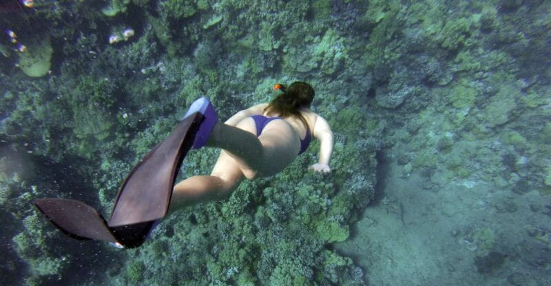 Giardini Naxos: Isola Bella Marine Park Snorkeling Cruise - Exploring the Experience in Depth