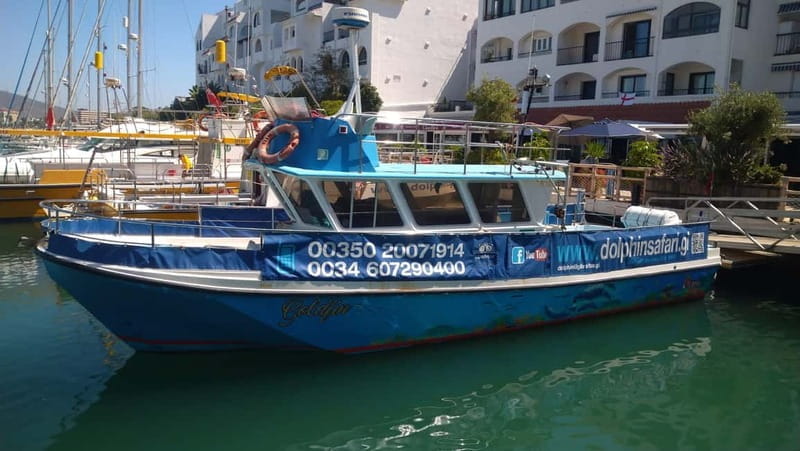 Gibraltar: Dolphin Watching Boat Tour V.I.P - Key Points and Takeaways