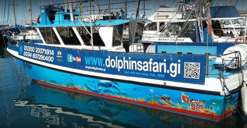 Gibraltar: Dolphin Watching Boat Tour V.I.P - Who Should Consider This Tour?