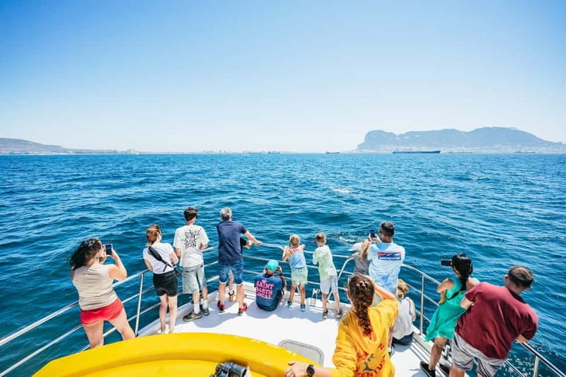 Gibraltar: Dolphin Watching Tour - Who Should Consider This Tour?
