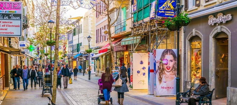 Gibraltar: Guided Tour by Bus Including Tickets - Exploring Gibraltar in 1.5 Hours: What You Can Expect