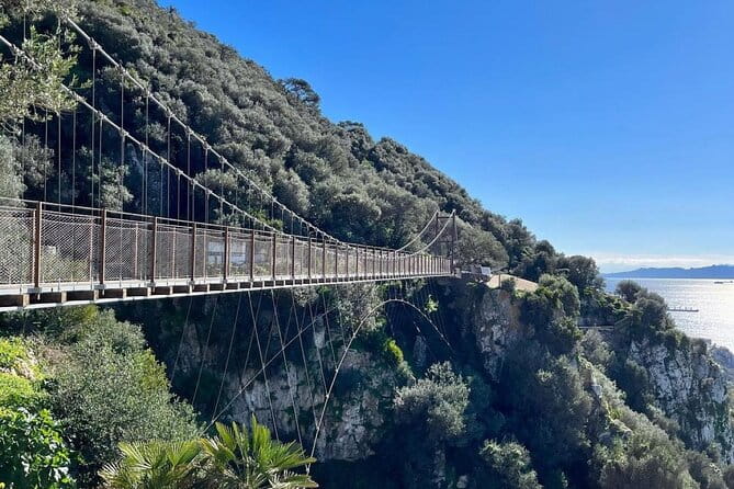 Gibraltar Private Daytrip From Malaga - An Honest Look at the Gibraltar Private Daytrip from Malaga