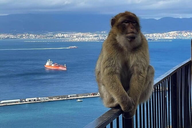 Gibraltar Private Daytrip From Sevilla - Who Would Love This Tour?