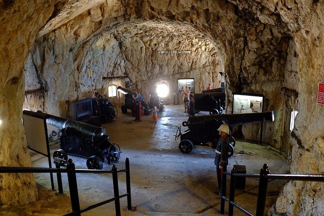 Gibraltar Private Tour From Malaga and Surronding Areas - Inclusions for the Tour