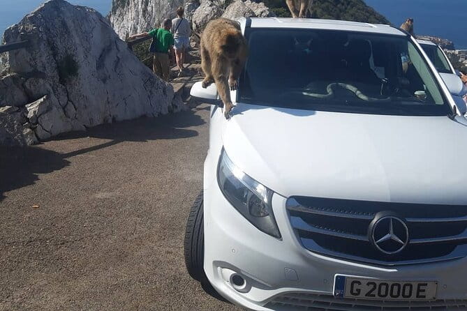 Gibraltar Sightseeing : Classic Shore Excursion (Private) - Who Should Consider This Tour?