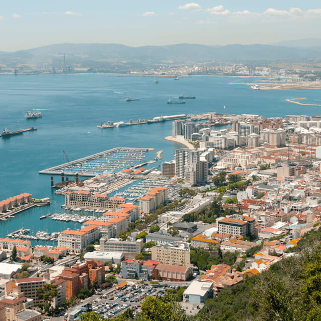 Gibraltar: Tour guiado desde la Costa Del Sol - Entering Gibraltar: From Costa del Sol to the Rock