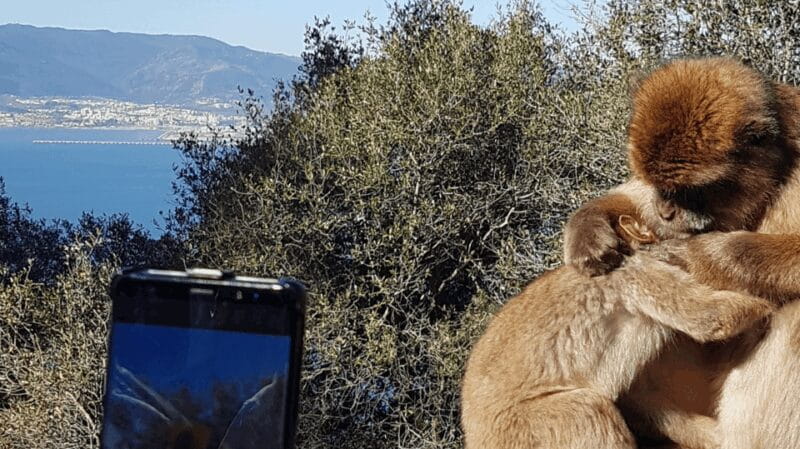 Gibraltar: Tour guiado desde la Costa Del Sol - Touring the Spectacular St. Michael’s Cave