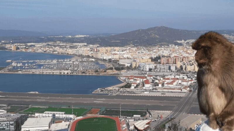Gibraltar: Tour guiado desde la Costa Del Sol - Free Time and Shopping on Main Street