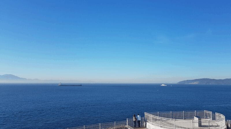 Gibraltar: Tour guiado desde la Costa Del Sol - Who Should Consider This Tour?