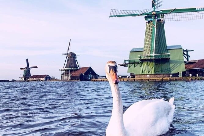 Giethoorn, Private Boat Tour & Zaanse Schans Windmills - Analyzing the Cost and Value
