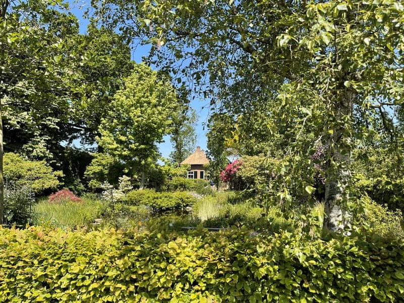 Giethoorn & Windmill Country  A Journey Through Old Holland - Exploring the Dutch Water Village: Giethoorn