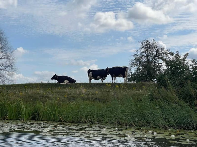 Giethoorn & Windmill Country  A Journey Through Old Holland - Practical Details: What You Need to Know