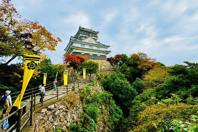 Gifu Half Day Private Tour Castle, Great Buddha and Old Town - Key Points