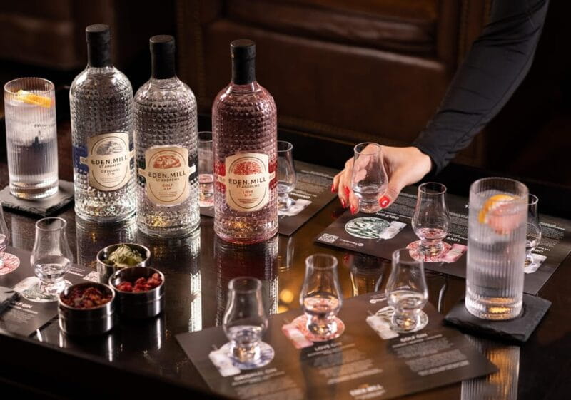Gin Tasting Experience with a Perfect Serve - Key points / Takeaways