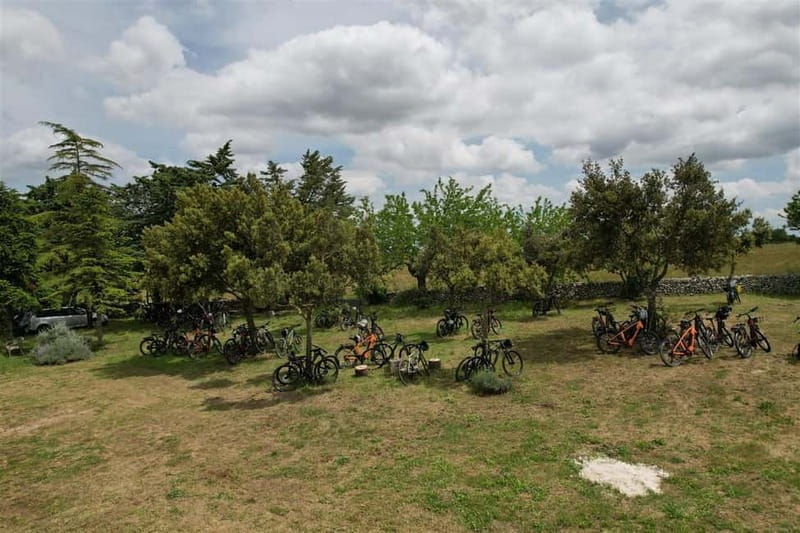 Gioia del Colle: E-Bike Tour through Vineyards & Wine - Discovering Gioia del Colle’s Vineyard Charm